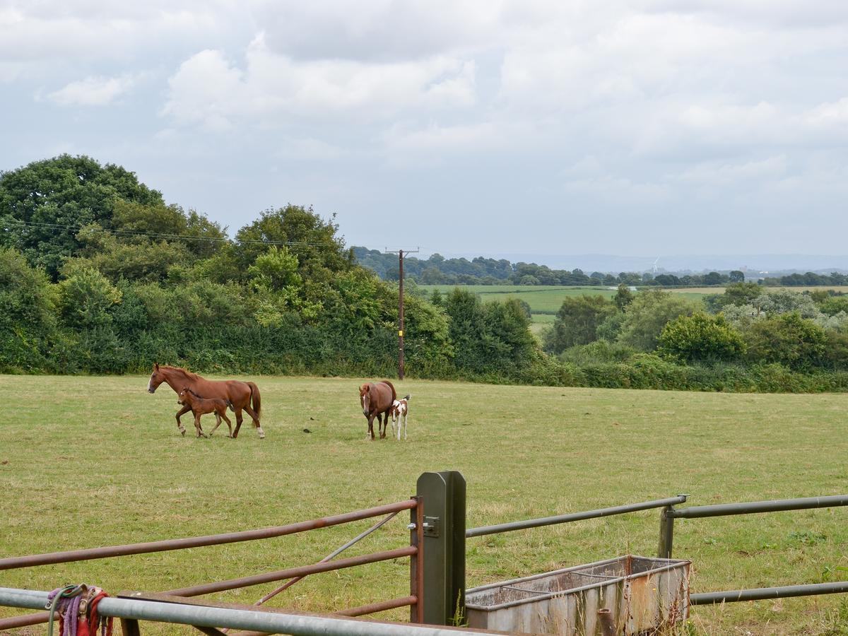 The Stables Villa Woolaston Exterior foto